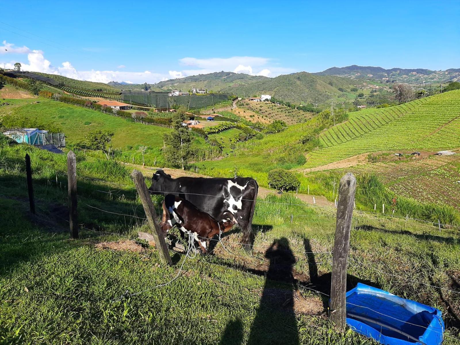 Vila Casa De Campo Via El Penol Guatape Marinilla Exteriér fotografie